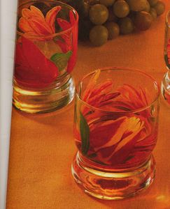 Tulipes-couleur.JPG