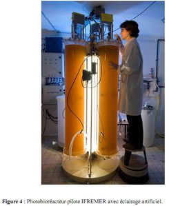 bioreacteur.jpg