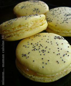 Macaron citron