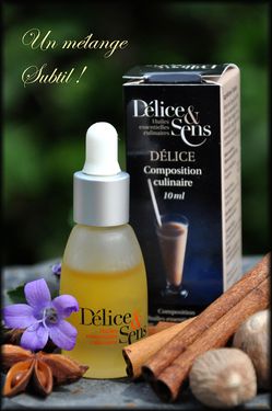 Cake-moelleux-Delice-3a.jpg