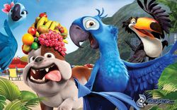 rio2.jpg