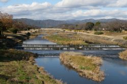 KamogawaKyoto.JPG