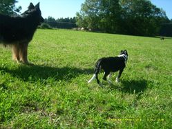17.09.2010-190-copie-1.jpg