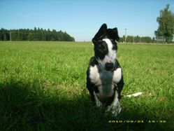 17.09.2010-226.jpg