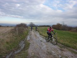 FRISQUET