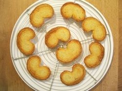 Palmiers16