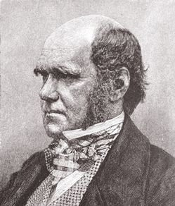 darwin 1855