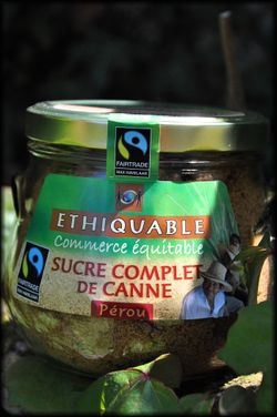 Confiture-a-la-fraise-et-rhubarbe-2a.jpg