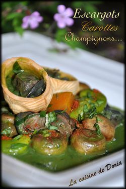 Escargots-2a.jpg
