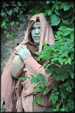 Fete-medievale-Provins---23a.jpg