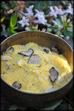 Polenta-a-la-truffe-noire-1a.jpg