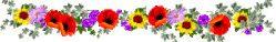 70 lineflowers