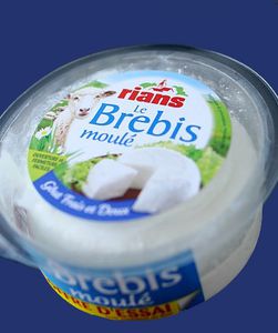 brebis-moule2.jpg