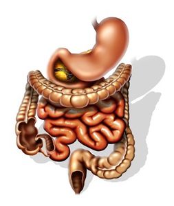 LA CONSTIPATION CHRONIQUE