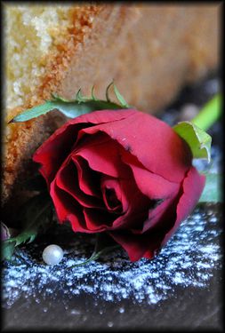 Cake-moelleux-Delice-10a.jpg