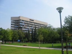IMG-0114.jpg