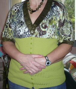 2011-01-27-recupull2