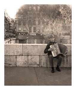Laccordeoniste.jpg