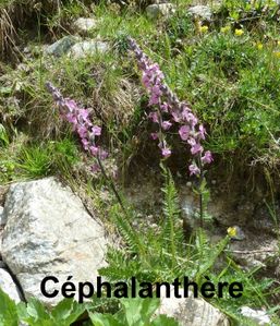 2012-29-06-Lac de la Foux-020