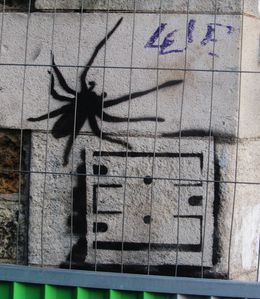 cpafini-6955.JPG
