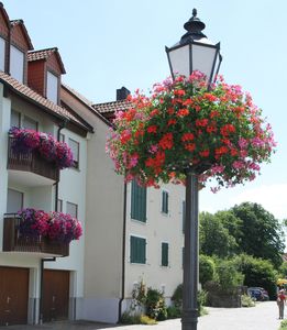 JuryBlumenschmuckBegehung-02-Blumenampeln.jpg