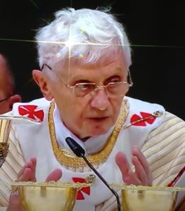 Human-Pope.JPG