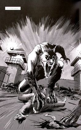 World-war-wolves-T.I-3.JPG