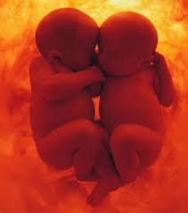 0 DIALOGUES ENTRE BEBES JUMEAUX