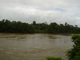 S5301572