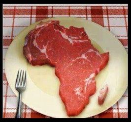 afrikadamu.jpg