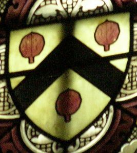 blason-athenosy