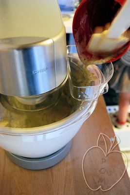Helado sorbete de kiwi (8)