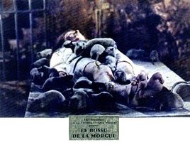 Le bossu de la morgue 3