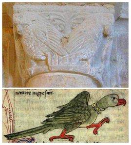 Compo-parrots.jpg