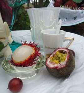 DSC00766