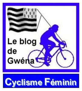 logoCFblogGwena2CADRE.jpg