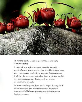 Minuscule-3.JPG