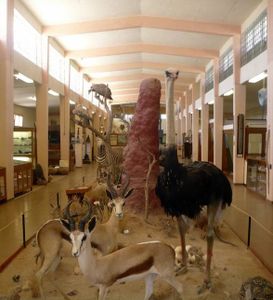 swakopmund musee