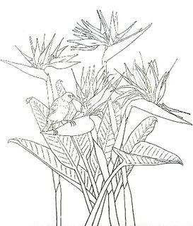 Fleurs-a-colorier-3.JPG