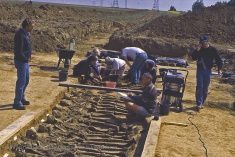 ARCHEOLOGIE.jpg