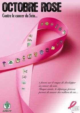 12-10-2010_octobre-rose.jpg
