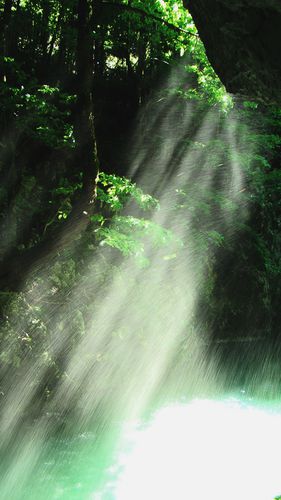 DSC07067