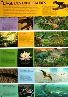 Doc-anime-Dinosaures-3.JPG