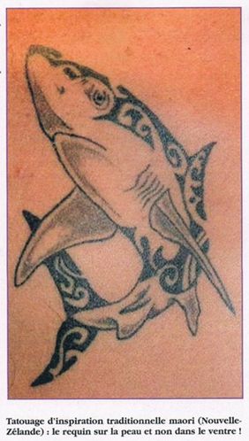 requin-tatoo-copie-1.jpg