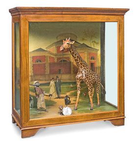 cab curio cab curio girafe