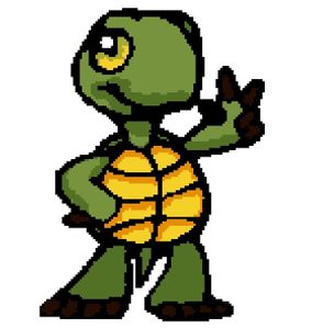 tortue-cool.jpg
