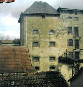 illon 003