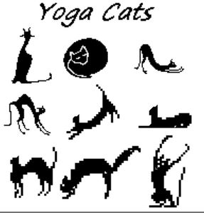 yoga cats