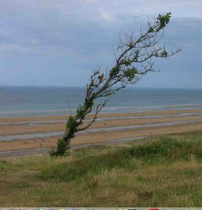 Arromanches.jpg