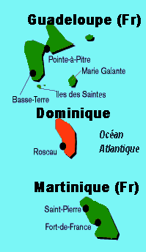 dominique.png